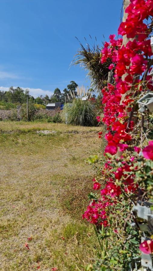 Casa J Moderna Con Amplio Jardin En Barrio De Profesionales *